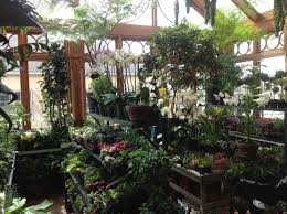 Valley forge flowers is located in southeastern city of pennsylvania state. Greenhouse Valley Forge Flowers Wayne Pa Valley Forge Greenhouse Plants