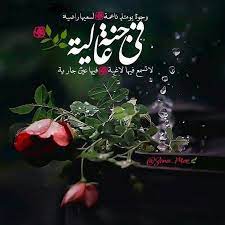 في جنة عالية قطوفها دانية islamic images islam photo