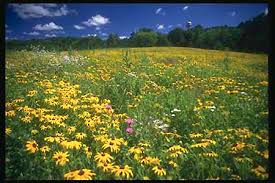 Deliver to 190+ countries · 24/7 customer service Prairies Natural Lands