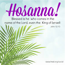(17 images) view slideshow > palm sunday: Psalm Sunday Bible Quotes A Sunday Scripture Palm Sunday Quotes Sunday Quotes Sunday Dogtrainingobedienceschool Com