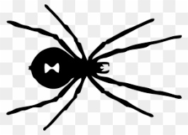 Black widow coloring pages activity. Black Widow Spider Coloring Pages Black Widow Spider Black Widow Red Spot Free Transparent Png Clipart Images Download