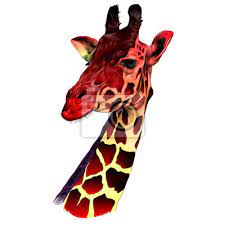 la tete dune girafe croquis vecteur graphique dessin couleur peintures murales tableaux belle longtemps cou myloview fr coloriage lettre h classique
