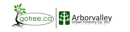 Find useful information, the address and the phone number davey has been canada's professional tree service since 1880. Graves Oak Tree Care Arborist Urban Forests Tree Care Pruning Reports Serving Toronto York Region Gta Gotree