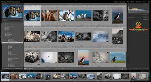 Check that the library module has been selected in the top module selection strip. How To Rate Photos In Lightroom Travel Photography Guru
