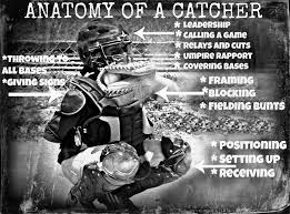 He must make up his mind that it isn't the terrible job it is painted, and that he isn't going to say every day, 'why, oh why with so many other positions in baseball did i take up this one. Anatomy Of A Catcher Baseball Softball Catcher Catcher Quotes Baseball Catcher