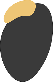 Kurt Schellenberg AG