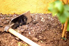 This process is only the beginning of the problem. Burnett Don T Bother Rototilling The Garden Kelowna Capital News