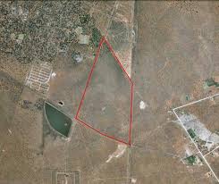 Image result for Chascanum adenostachyum