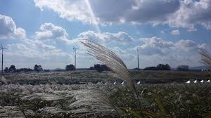 서민금융지원법 그리고 최저금리 안심대출