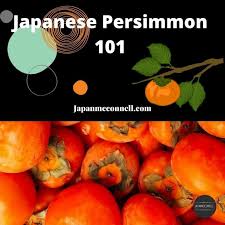 Watch chef alice waters prepare persimmons. Japanese Persimmons 101