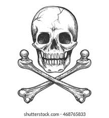 You should find the best tattoo shops near you to try this design. Skull Crossbones Tattoo Biker Jacket Vector Stock Vector Royalty Free 468765833