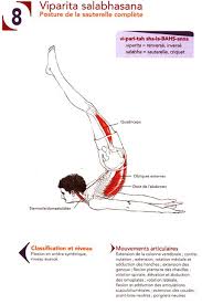 Posture De La Sauterelle Complete Viparita Salabhasana Yoga Anatomy Yoga Asanas Yoga Muscles