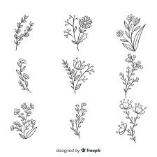 Doodling is something that we all do when. Download Realistic Hand Drawn Flowers Collection For Free Hand Drawn Flowers Flower Drawing How To Draw Hands