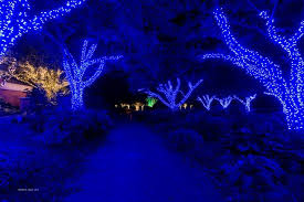 Enchanted Gardens At The Meadowlark S Winter Walk Of Lights Vienna Va Winter Walk Walking In Nature Lights
