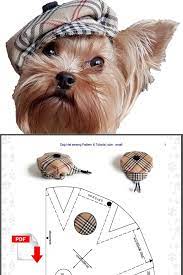 Small Dog Hat Pattern For Dog Pet Hat Pdf Dog Hat Sewing Pdf Dog Clothes Patterns Hat For Dog Pdf Small Pet Patterns Small Pet Dog Hat In 2021 Dog Clothes