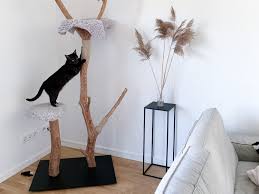 Get a ragdoll, bengal, siamese and more on kijiji, canada's #1 local i have 6 kittens to be adopted into new homes mid november. 10 Diy Cat Trees And Cat Furniture Apartment Therapy