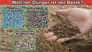 Geranien natürlich düngen mit kaffeesatz Hornspane Blaukorn Natur Dunger Anwenden Womit Soll Ich Dungen Dunger Vergleich Unterschied Youtube