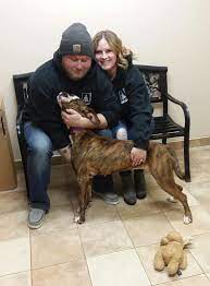 If adoption isn't possible for you right now, don't worry. Brainerd Animal Shelter Photo Gallery Heartland Animal Rescue Team