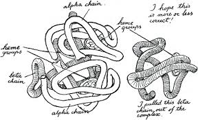 Afbeeldingsresultaat voor vroman de twee gedachten