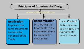 Image result for Experimental Error