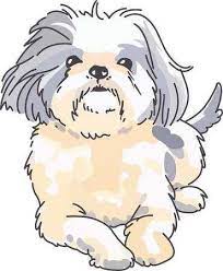 A Cute Shih Tzu Is A Wonderful Addition To Any Dog Lover S Project Dog Drawing Animal Drawings Puppy Drawing
