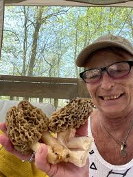 Finding Grubs for Chicken Feed in Gardening