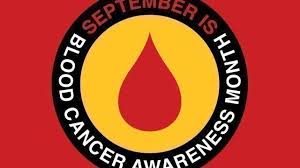 Although it is not always an absolute cure for the disease, chemotherapy can be very effective in slowing down the progression of cancer, and can potentially add years to your dog's life. Blood Cancer In Dogs Hemangiosarcoma Leukemia And Lymphoma Healthy Paws Pet Insurance