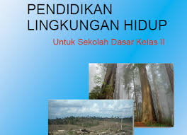 Materi Pelajaran Pendidikan Lingkungan Hidup Plh Kelas 2 Sd Mi Semester I Dan Ii Dadang Jsn