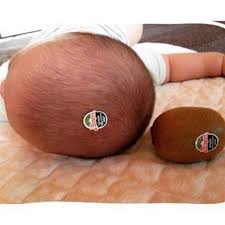 45 Likes 1 Comments Ne Cektik On Instagram Kivi Kafa Funny Baby Photography Funny Babies Funny Baby Pictures
