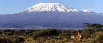Top 10 Highest Mountains In Africa