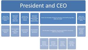 1 typical organizational chart for a hospital disclosed