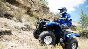 Who needs malls and storefronts? Download Yamaha Grizzly Repair Manual 80 125 350 400 550 600 660 700 Atvs