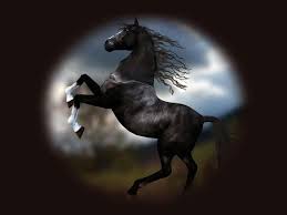 At2t Jpg 800 600 Horse Wallpaper Horses Horse Background