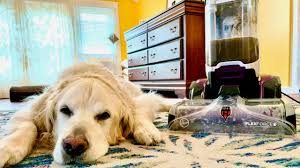 The hoover® smartwash™ pet complete automatic carpet washer (fh53000pc) is just as easy to use as our original smartwash. Hoover Smartwash Pet Complete Carpet Cleaner Gets Dirty Lazy Guy Diy