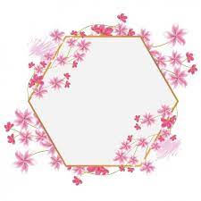 Sakura Cherry Blossom Flower Hexagon Frame Border Cherry Blossom Design Frame Png And Vector With Transparent Background For Free Download Flower Drawing Cherry Blossom Drawing Sakura Cherry Blossom