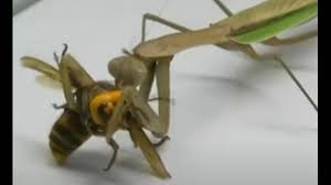 東洋経済オンライン