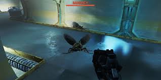 Fallout 4 Player Encounters an Enormous Radroach