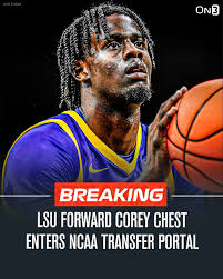 LSU Basketball Team Upgrades and Coaching Changes