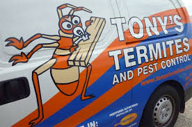 Whatever nuisance pests you might have, total pest management will have the professional solution. Pest Control Gold Coast Termite Barriers Gold Coast
