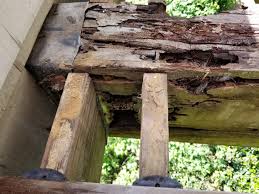 Learn about epoxy products and their best use, get tips repair of exterior columns using conserv epoxy products involved liquid borate preservative, epoxy consolidation another method to accelerate drying is brushing acetone (caution: Dry Rot Wikipedia