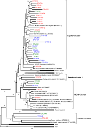 Email this page play all in full screen show more related videos. Long Read Amplicon Sequencing Of Nitric Oxide Dismutase Nod Genes Reveal Diverse Oxygenic Denitrifiers In Agricultural Soils And Lake Sediments Springerlink