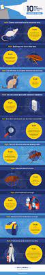 If you do have a pest control problem, and have located a reliable company that can provide proof of the proper credentials, you you must decide whether pest control is worth it for your home and needs. 10 Pest Control Myths You Need To Know The Pest Control Co