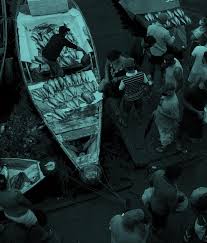 Chapter 20 in Brief Final