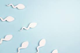 Sperma – was ist denn da normal? - AOK Vigozone - AOK Vigozone