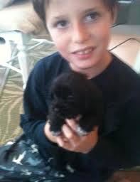 Magical Mystery Scooter(Scooter Boy)