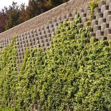Sports Centre In Leonberg 4a Architekten Concrete Wall Garden Wall Retaining Wall Blocks