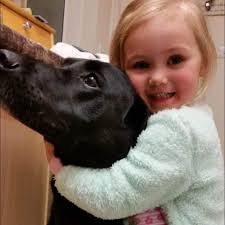 Yup,Nameless king is still a jerk 3 years later 😂