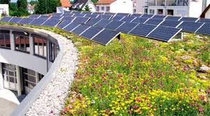Neuer Fbb Prospekt Uber Dachbegrunung Photovoltaik Und Brauchwassernutzung Dachbegrunung Dach Sonnenkollektor