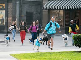 Persaingan noun competition, rivalry persaingan sengit fierce competition derives from saing. Prime Video Kawanan Musim 1