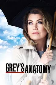 Grey's Anatomy: Merediths Rückkehr – Eine riskante Entscheidung?
